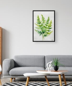 Hairy lip fern (Cheilanthes Lanosa) Watercolour Botanical Art Print - Woolly Fern Minimalist Framed Plant Wall Art 16 Hairy lip fern (Cheilanthes Lanosa) Watercolour Botanical Art Print - Woolly Fern Minimalist Framed Plant Wall Art - Image 3