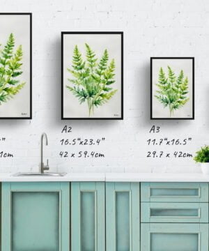 Hairy lip fern (Cheilanthes Lanosa) Watercolour Botanical Art Print - Woolly Fern Minimalist Framed Plant Wall Art 17 Hairy lip fern (Cheilanthes Lanosa) Watercolour Botanical Art Print - Woolly Fern Minimalist Framed Plant Wall Art - Image 4