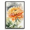 Asteraceae Watercolour Botanical Art Print - Chrysanthemum Framed Plant Wall Art 2 watercolour botanical print flowers chrysanthemum front view