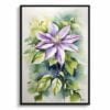 Leather flower (Clematis Beauty) Watercolour Botanical Art Print - Gravetye Framed Plant Wall Art 2 watercolour botanical print flowers clematis gravetye beauty front view