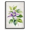 Leather flower (Clematis Beauty) Watercolour Botanical Art Print - Gravetye Minimalist Framed Plant Wall Art 1 watercolour botanical print flowers clematis gravetye beauty minimalist front view