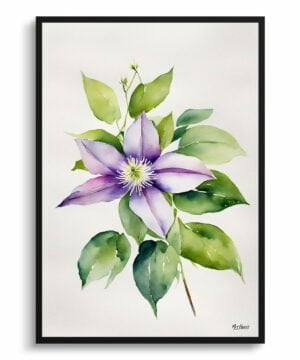 Leather flower (Clematis Beauty) Watercolour Botanical Art Print - Gravetye Minimalist Framed Plant Wall Art