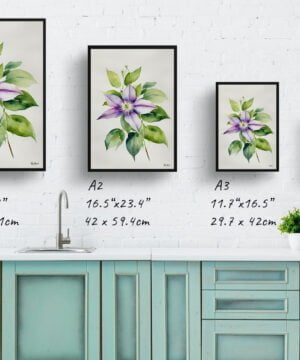 Leather flower (Clematis Beauty) Watercolour Botanical Art Print - Gravetye Minimalist Framed Plant Wall Art 17 Leather flower (Clematis Beauty) Watercolour Botanical Art Print - Gravetye Minimalist Framed Plant Wall Art - Image 4