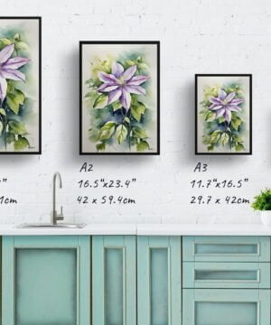 Leather flower (Clematis Beauty) Watercolour Botanical Art Print - Gravetye Framed Plant Wall Art 17 Leather flower (Clematis Beauty) Watercolour Botanical Art Print - Gravetye Framed Plant Wall Art - Image 4