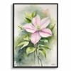Leather flower (Clematis) Watercolour Botanical Art Print - Mayleen Framed Plant Wall Art 1 watercolour botanical print flowers clematis mayleen front view