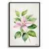 Leather flower (Clematis) Watercolour Botanical Art Print - Mayleen Minimalist Framed Plant Wall Art 2 watercolour botanical print flowers clematis mayleen minimalist front view