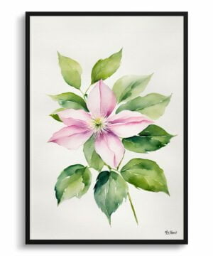 Leather flower (Clematis) Watercolour Botanical Art Print - Mayleen Minimalist Framed Plant Wall Art