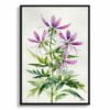 Spider flower (Cleome) Watercolour Botanical Art Print - Violet Queen Minimalist Framed Plant Wall Art 1 watercolour botanical print flowers cleome hassleriana violet queen minimalist front view