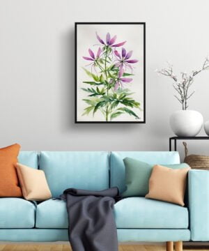Spider flower (Cleome) Watercolour Botanical Art Print - Violet Queen Minimalist Framed Plant Wall Art 15 Spider flower (Cleome) Watercolour Botanical Art Print - Violet Queen Minimalist Framed Plant Wall Art - Image 2