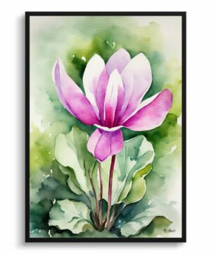 Cyclamen Persicum Watercolour Botanical Art Print - Persian Violet Framed Plant Wall Art