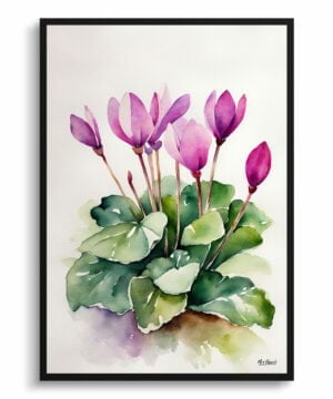 Cyclamen Persicum Watercolour Botanical Art Print - Persian Violet Minimalist Framed Plant Wall Art
