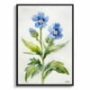 Chinese Forget-me-not Watercolour Botanical Art Print - Cynoglossum Amabile Minimalist Framed Plant Wall Art 2 watercolour botanical print flowers cynoglossum amabile minimalist front view