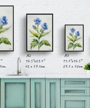 Chinese Forget-me-not Watercolour Botanical Art Print - Cynoglossum Amabile Minimalist Framed Plant Wall Art 17 Chinese Forget-me-not Watercolour Botanical Art Print - Cynoglossum Amabile Minimalist Framed Plant Wall Art - Image 4