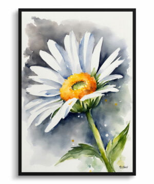 Oxeye Marguerite Watercolour Botanical Art Print - Daisy Framed Plant Wall Art