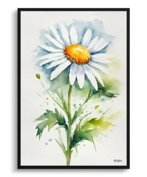 Oxeye Marguerite Watercolour Botanical Art Print - Daisy Minimalist Framed Plant Wall Art