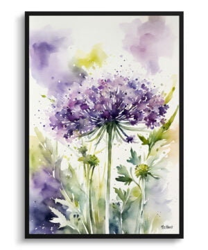 Queen Anne's lace (Daucus carota) Watercolour Botanical Art Print - Cosmic Carrot Framed Plant Wall Art
