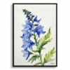 Delphinium Watercolour Botanical Art Print - Larkspur Minimalist Framed Plant Wall Art 2 watercolour botanical print flowers delphinium cassius minimalist front view