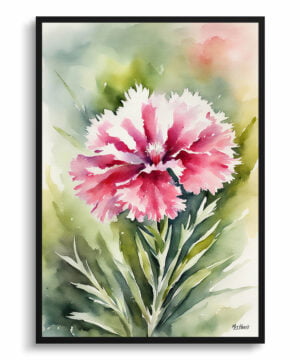 Dianthus Devon Wizard Watercolour Botanical Art Print - Pink Carnation Framed Plant Wall Art