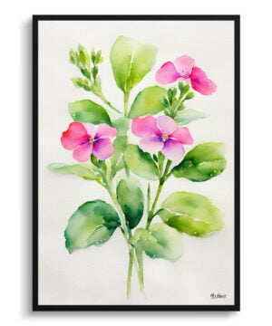 Twinspur Watercolour Botanical Art Print - Diascia Personata Minimalist Framed Plant Wall Art