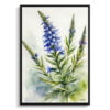 Viper's bugloss Watercolour Botanical Art Print - Echium Vulgare Framed Plant Wall Art 1 watercolour botanical print flowers echium vulgare front view