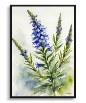 Viper's bugloss Watercolour Botanical Art Print - Echium Vulgare Framed Plant Wall Art