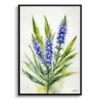 Viper's bugloss Watercolour Botanical Art Print - Echium Vulgare Minimalist Framed Plant Wall Art 2 watercolour botanical print flowers echium vulgare minimalist front view