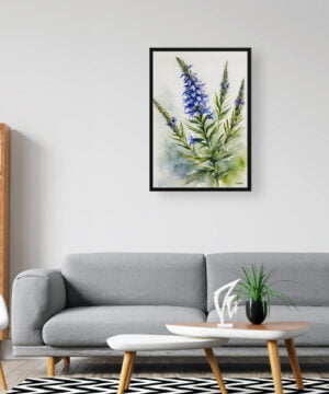 Viper's bugloss Watercolour Botanical Art Print - Echium Vulgare Framed Plant Wall Art 16 Viper's bugloss Watercolour Botanical Art Print - Echium Vulgare Framed Plant Wall Art - Image 3