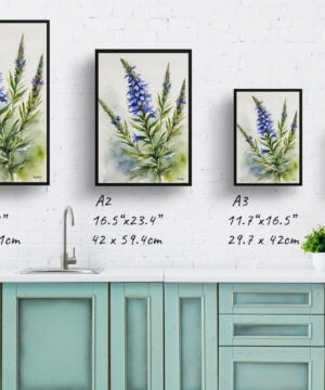 Viper's bugloss Watercolour Botanical Art Print - Echium Vulgare Framed Plant Wall Art 17 Viper's bugloss Watercolour Botanical Art Print - Echium Vulgare Framed Plant Wall Art - Image 4
