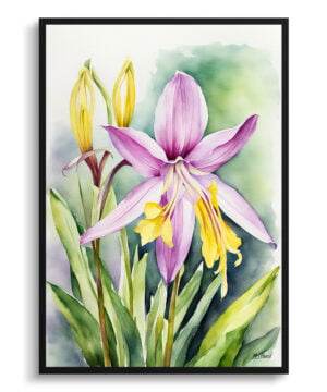 Erythronium Fawn lily Watercolour Botanical Art Print - Dogtooth Violet Framed Plant Wall Art
