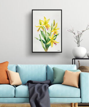 Erythronium Fawn lily Watercolour Botanical Art Print - Dogtooth Violet Minimalist Framed Plant Wall Art 15 Erythronium Fawn lily Watercolour Botanical Art Print - Dogtooth Violet Minimalist Framed Plant Wall Art - Image 2
