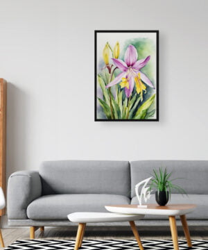 Erythronium Fawn lily Watercolour Botanical Art Print - Dogtooth Violet Framed Plant Wall Art 16 Erythronium Fawn lily Watercolour Botanical Art Print - Dogtooth Violet Framed Plant Wall Art - Image 3