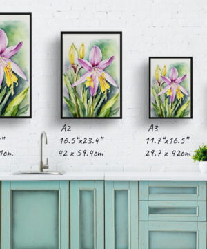 Erythronium Fawn lily Watercolour Botanical Art Print - Dogtooth Violet Framed Plant Wall Art 17 Erythronium Fawn lily Watercolour Botanical Art Print - Dogtooth Violet Framed Plant Wall Art - Image 4