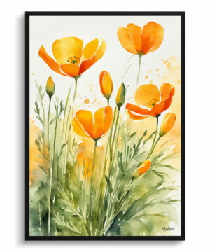 Californica Poppy Watercolour Botanical Art Print - Eschscholzia Framed Plant Wall Art