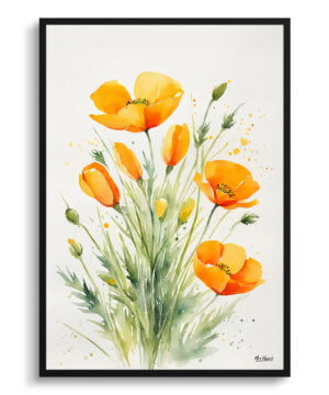 Californica Poppy Watercolour Botanical Art Print - Eschscholzia Minimalist Framed Plant Wall Art
