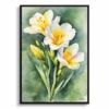 Cape-cowslip Watercolour Botanical Art Print - Freesia Framed Plant Wall Art 1 watercolour botanical print flowers freesia front view