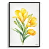 Cape-cowslip Watercolour Botanical Art Print - Freesia Minimalist Framed Plant Wall Art 2 watercolour botanical print flowers freesia minimalist front view