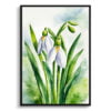 Giant Snowdrop Watercolour Botanical Art Print - Galanthus Elwesii Framed Plant Wall Art 2 watercolour botanical print flowers galanthus elwesii front view
