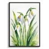 Giant Snowdrop Watercolour Botanical Art Print - Galanthus Elwesii Minimalist Framed Plant Wall Art 1 watercolour botanical print flowers galanthus elwesii minimalist front view