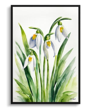 Giant Snowdrop Watercolour Botanical Art Print - Galanthus Elwesii Minimalist Framed Plant Wall Art