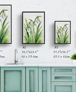 Giant Snowdrop Watercolour Botanical Art Print - Galanthus Elwesii Minimalist Framed Plant Wall Art 17 Giant Snowdrop Watercolour Botanical Art Print - Galanthus Elwesii Minimalist Framed Plant Wall Art - Image 4