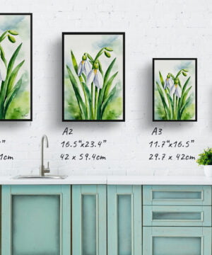 Giant Snowdrop Watercolour Botanical Art Print - Galanthus Elwesii Framed Plant Wall Art 17 Giant Snowdrop Watercolour Botanical Art Print - Galanthus Elwesii Framed Plant Wall Art - Image 4