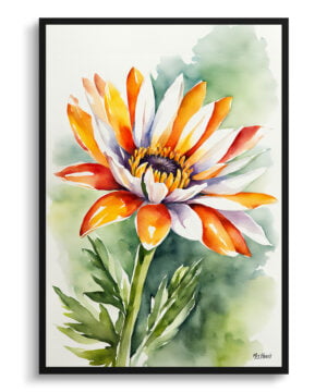 Gazania Watercolour Botanical Art Print - African Daisy Treasure Flower Framed Plant Wall Art