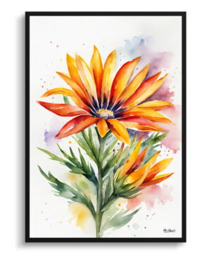 Gazania Watercolour Botanical Art Print - African Daily Treasure Flower Minimalist Framed Plant Wall Art