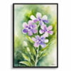 Dame's Rocket Watercolour Botanical Art Print - Hesperis Matronalis Framed Plant Wall Art 2 watercolour botanical print flowers hesperis matronalis front view