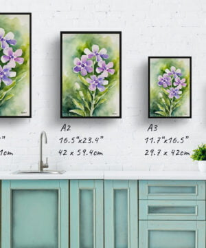 Dame's Rocket Watercolour Botanical Art Print - Hesperis Matronalis Framed Plant Wall Art - Image 4