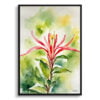 Honeysuckle Watercolour Botanical Art Print - Trumpet Flower Framed Plant Wall Art 2 watercolour botanical print flowers honeysuckle front view