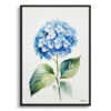 Hortensia Watercolour Botanical Art Print - Hydrangea Minimalist Framed Plant Wall Art 1 watercolour botanical print flowers hydrangea minimalist front view