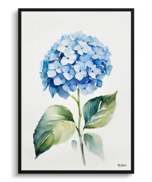Hortensia Watercolour Botanical Art Print - Hydrangea Minimalist Framed Plant Wall Art