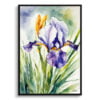 Fleur-de-lis Watercolour Botanical Art Print - Iris Framed Plant Wall Art 1 watercolour botanical print flowers iris front view
