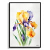 Fleur-de-lis Watercolour Botanical Art Print - Iris Minimalist Framed Plant Wall Art 2 watercolour botanical print flowers iris minimalist front view